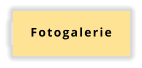 Fotogalerie